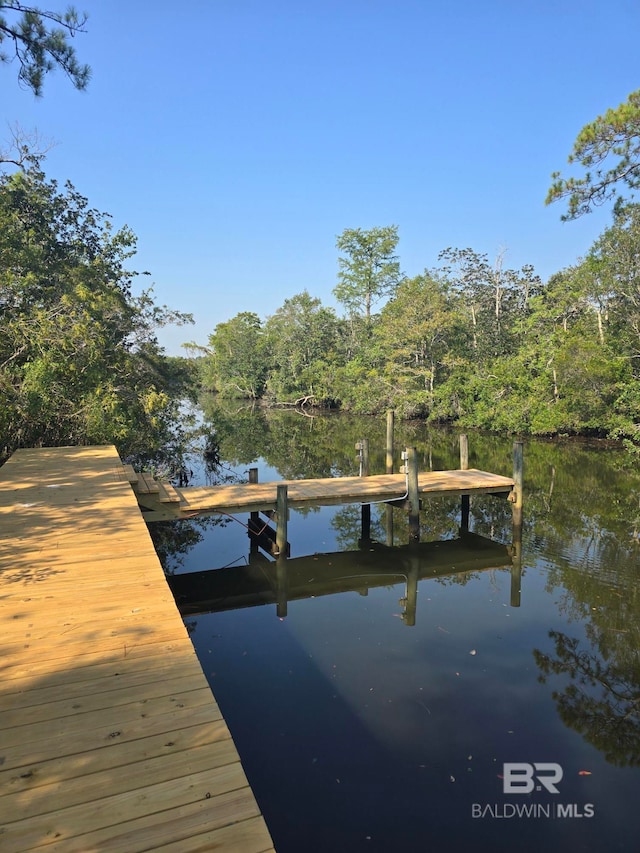 dock area featuring a water view