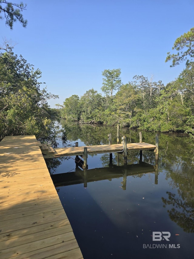 dock area with a water view