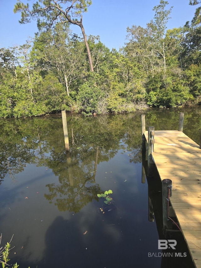 view of dock featuring a water view and a view of trees
