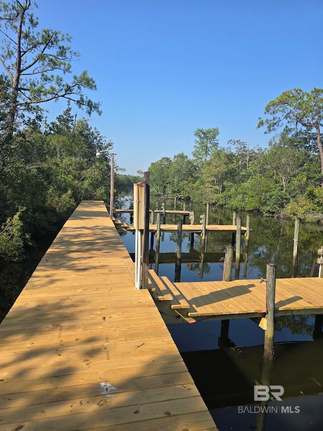 dock area with a water view