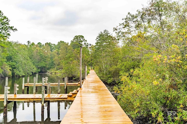 view of dock featuring a water view and a view of trees