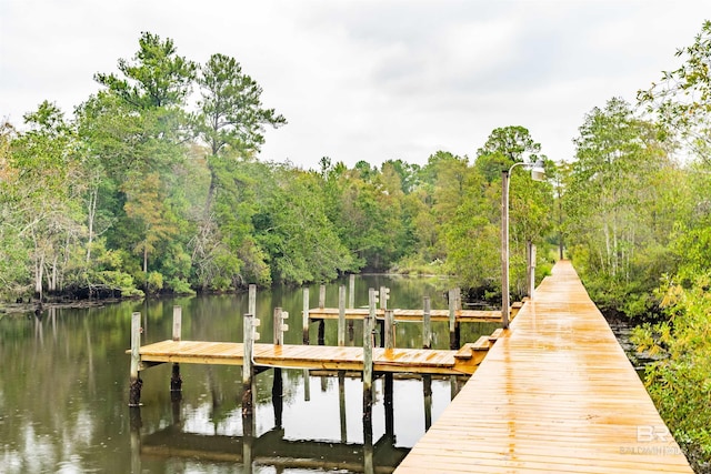 view of dock with a water view and a view of trees