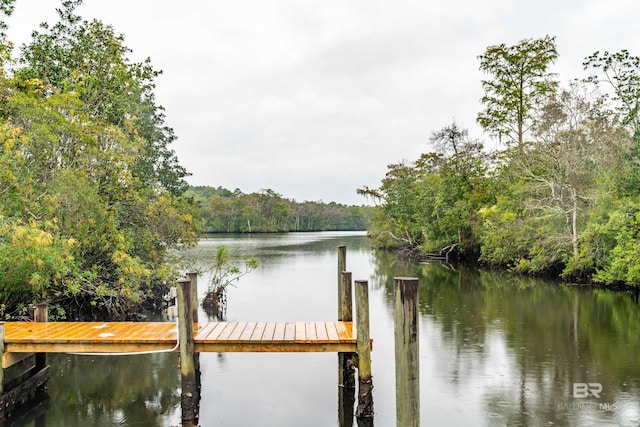 dock area featuring a water view and a view of trees