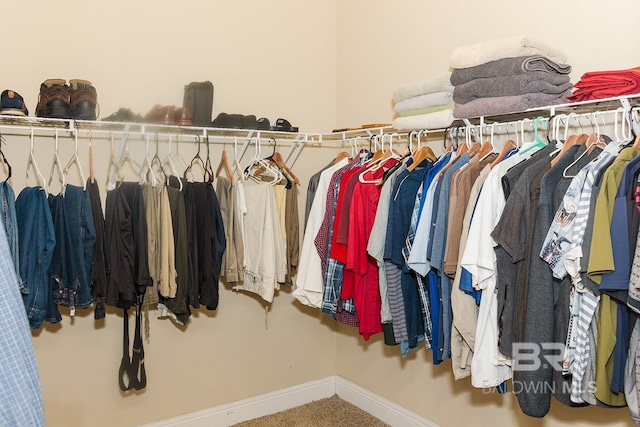 view of spacious closet