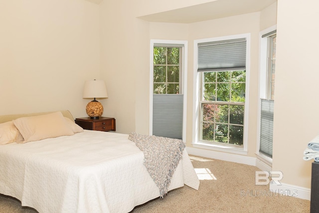 bedroom with carpet floors