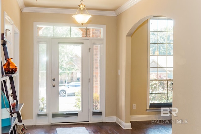 foyer with crown molding, dark hardwood / wood-style flooring, and a wealth of natural light