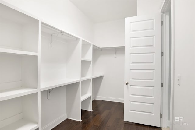 walk in closet with dark wood-type flooring