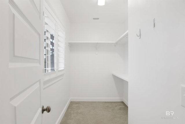 walk in closet with light carpet