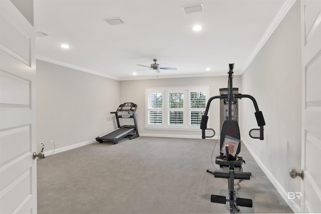 workout area with ornamental molding, carpet floors, and ceiling fan