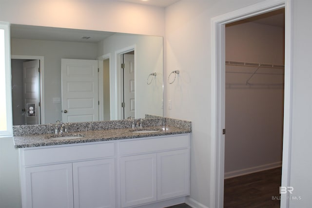 bathroom with double vanity, a spacious closet, baseboards, and a sink