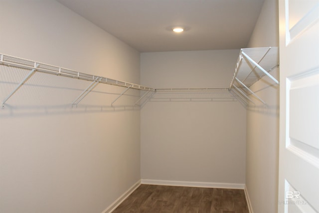 walk in closet with dark wood-type flooring