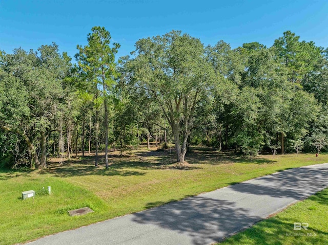 Listing photo 2 for 0 Pandion Dr, Foley AL 36535