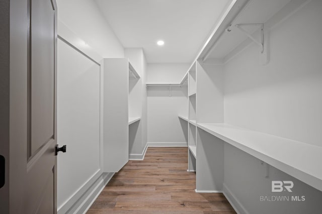 12380 Mannich Ln, Foley, AL 36580 - walk in closet with light wood-style floors