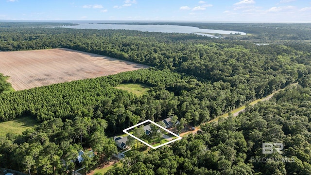 12380 Mannich Ln, Foley, AL 36580 - aerial view of property's location with a heavily wooded area, property boundaries highlighted, and a large body of water