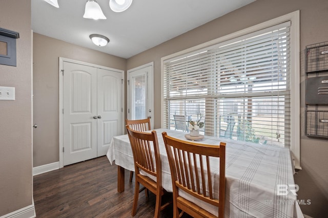 dining space featuring dark hardwood / wood-style flooring