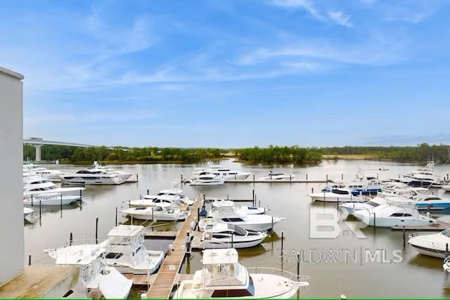 view of dock with a water view