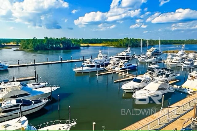 dock area with a water view