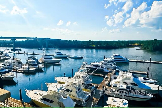 dock area featuring a water view