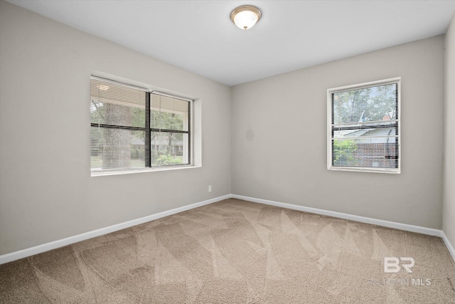 unfurnished room with carpet flooring and plenty of natural light