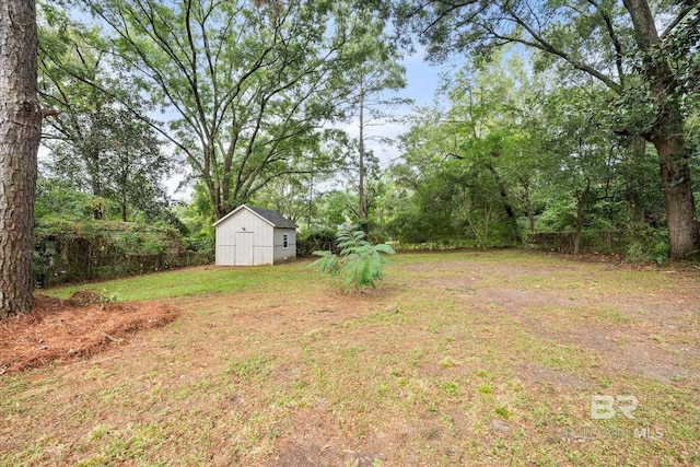 view of yard featuring a shed