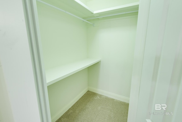 spacious closet with carpet flooring