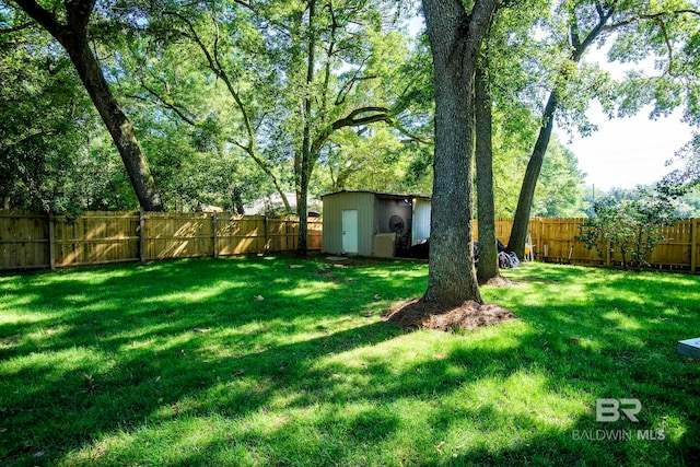 view of yard with a storage shed