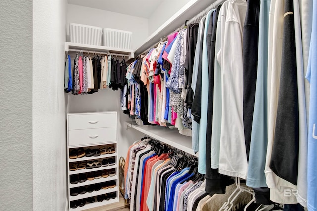 view of spacious closet