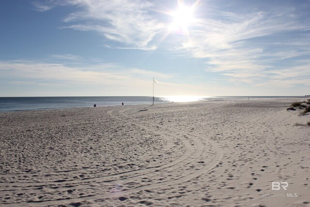 property view of water with a beach view