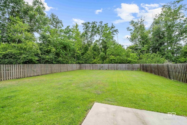 3931 Langley Ave, Foley, AL 36535 - view of fenced backyard