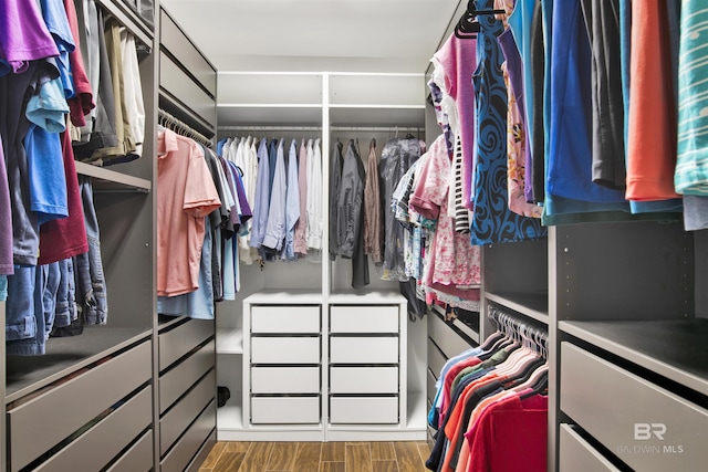 walk in closet featuring wood finished floors