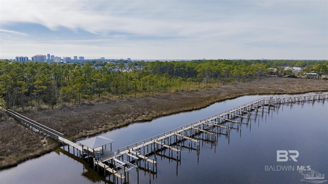 view of dock with a water view