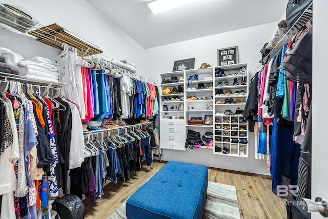 walk in closet featuring wood-type flooring