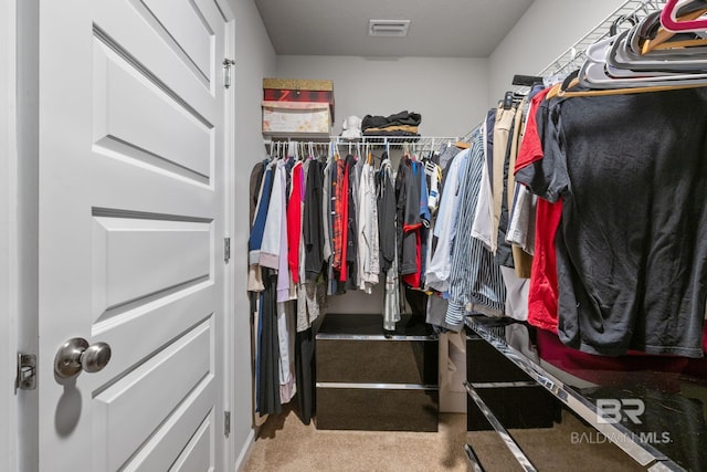 walk in closet with light colored carpet