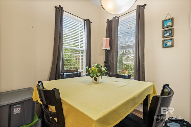 dining area featuring a wealth of natural light