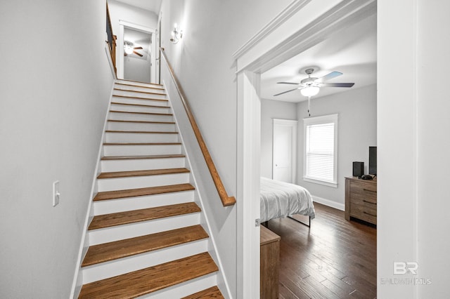 staircase with ceiling fan and wood-type flooring