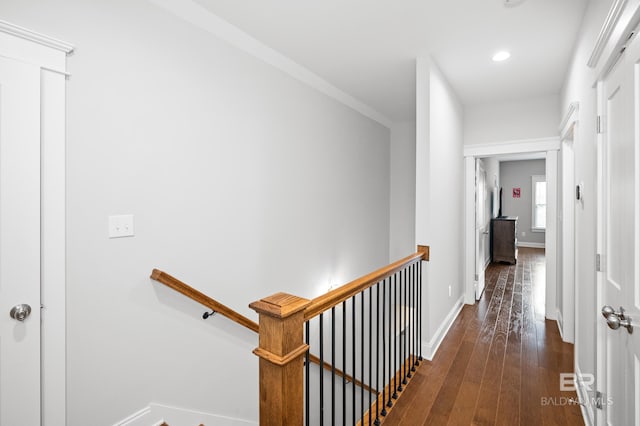 hallway featuring dark hardwood / wood-style flooring