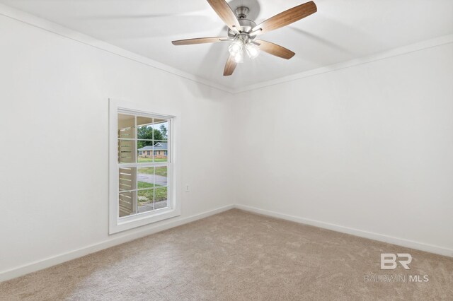 carpeted empty room featuring ornamental molding and ceiling fan