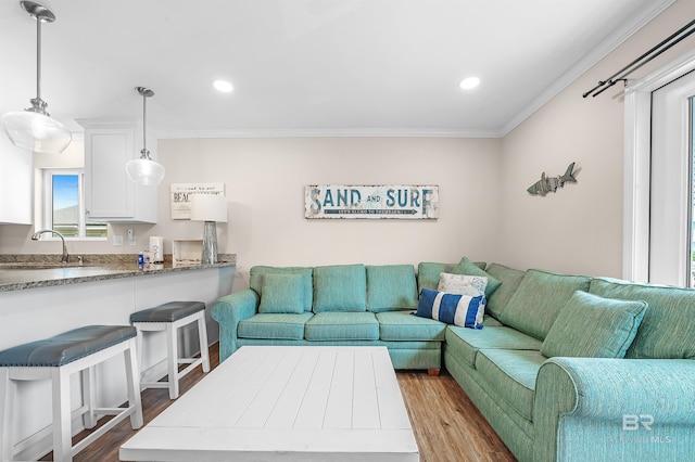 living room with light hardwood / wood-style floors, sink, and crown molding