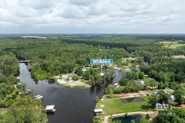birds eye view of property with a water view and a view of trees