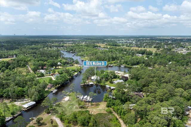 bird's eye view featuring a water view and a forest view