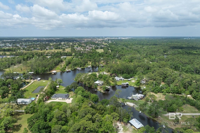 aerial view featuring a view of trees and a water view