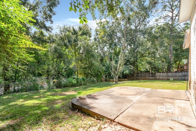 view of yard featuring a patio