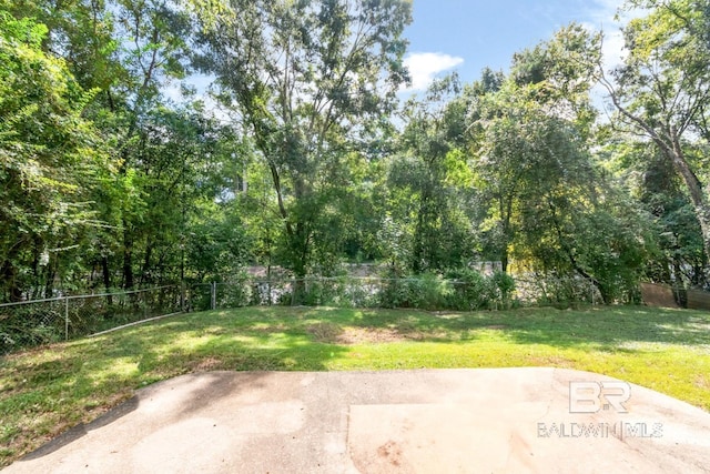 view of yard featuring a patio