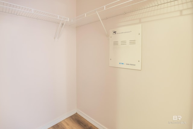 spacious closet featuring hardwood / wood-style floors