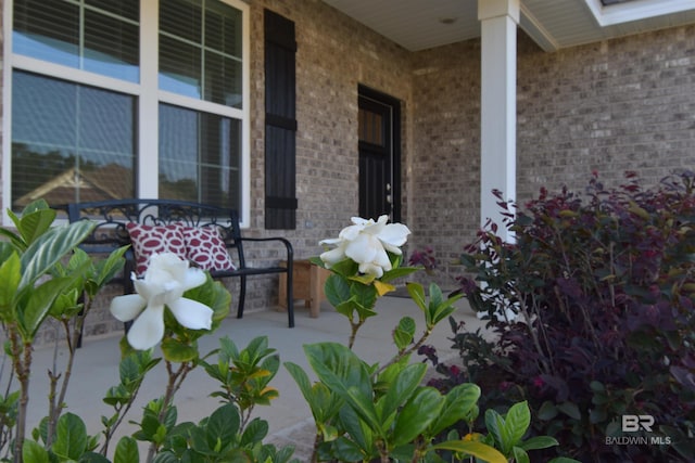1123 Pheasant Cir, Foley, AL 36535 - view of patio / terrace with a porch