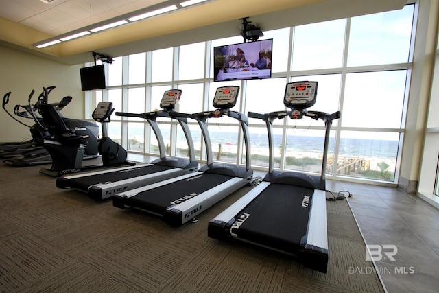 exercise room featuring expansive windows