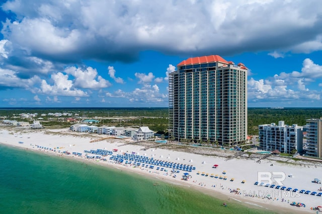 bird's eye view with a water view and a view of the beach