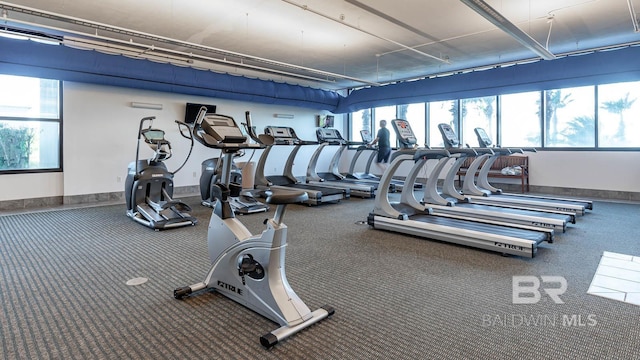 exercise room with a wealth of natural light