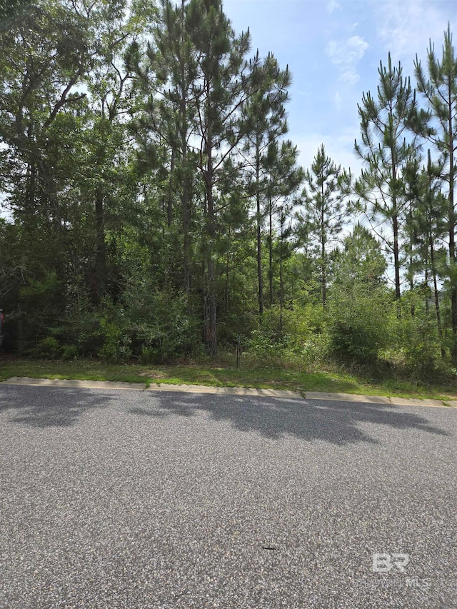 Listing photo 2 for 37 W Wildflower Trl, Spanish Fort AL 36527