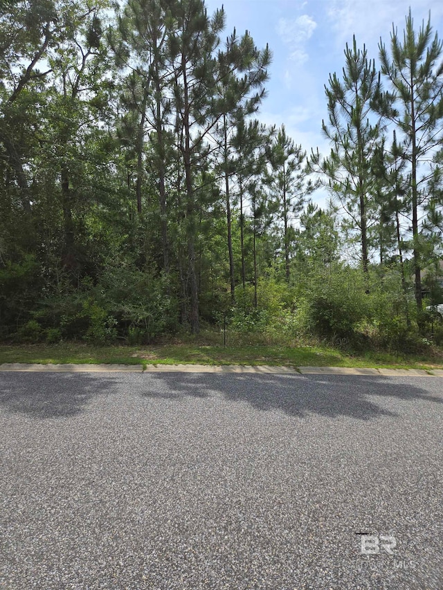 Listing photo 3 for 37 W Wildflower Trl, Spanish Fort AL 36527